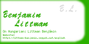 benjamin littman business card